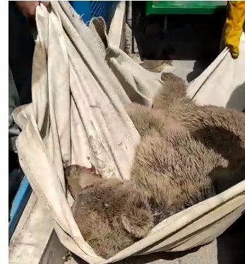  مسائل زیست محیطی در انتظار وضع قوانین سرسختانه