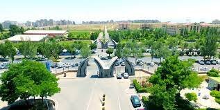 رتبه برتر دانشگاه محقق اردبیلی در لیست دانشگاههای منتخب دنیا رتبه برتر دانشگاه محقق اردبیلی در لیست دانشگاههای منتخب دنیا
