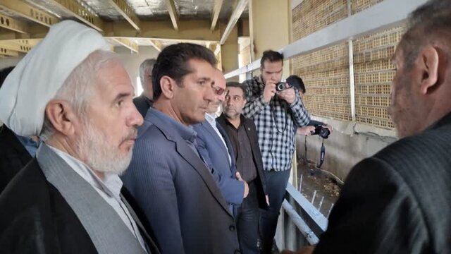 ۵۰ درصد نیاز استان اردبیل و ۸ درصد نیاز کشور به جوجه یکروزه تأمین خواهد شد