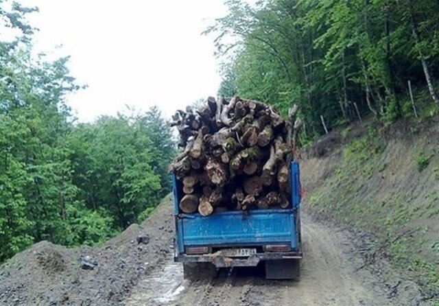 ضرب و شتم مأموران جنگلبانی توسط قاچاقچیان چوب ضرب و شتم مأموران جنگلبانی توسط قاچاقچیان چوب