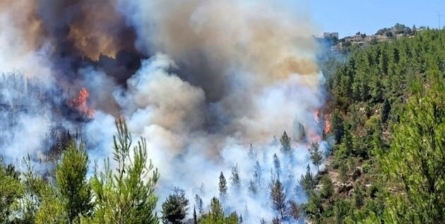 اعلام هشدار آتش‌سوزی جنگل‌ها در اردبیل