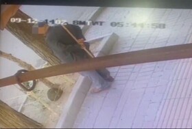 دستگیری فرد حیوان‌ آزار در اردبیل