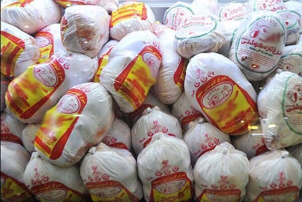 توزیع مستمر مرغ منجمد در استان اردبیل از ۲۵ آذرماه آغاز می شود