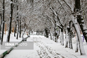 بارش اولین برف سال ۱۴۰۲ در اردبیل