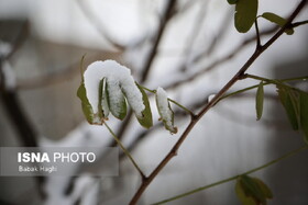 بارش اولین برف سال ۱۴۰۲ در اردبیل