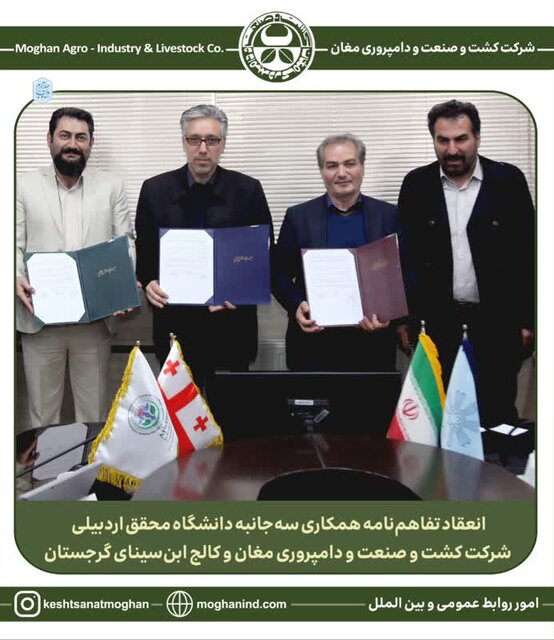 انعقاد تفاهمنامه همکاری سهجانبه بین شرکت مغان، دانشگاه محقق اردبیلی و کالج ابنسینای گرجستان انعقاد تفاهمنامه همکاری سهجانبه بین شرکت مغان، دانشگاه محقق اردبیلی و کالج ابنسینای گرجستان