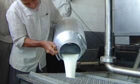 سالانه بیش از ۲۰ هزار تن شیر در شهرستان نیر تولید می‌شود