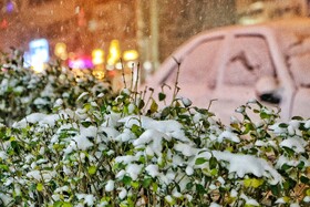 اردبیل سفید پوش شد