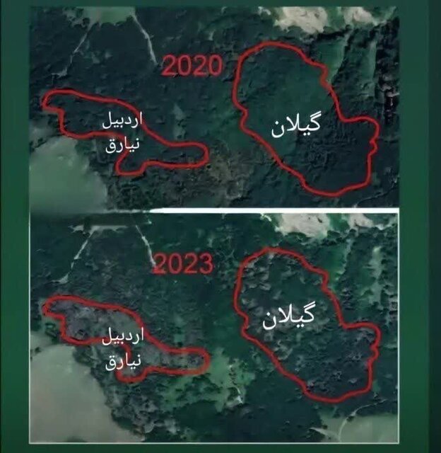 کمبود نیروی انسانی و تجهیزات فنی داریم / درختان نیارق با آتش از بین رفته است کمبود نیروی انسانی و تجهیزات فنی داریم / درختان نیارق با آتش از بین رفته است