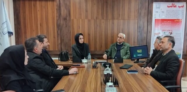 جمع‌آوری پنیرهای سنتی فاقد مشخصات از ابتدای سال آینده