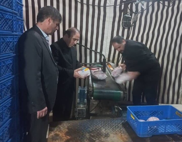تولید پروتئین سفید در استان بدون وقفه ادامه دارد