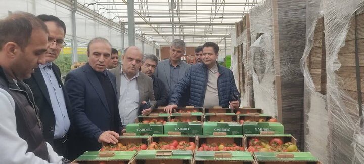 توسعه کشت گلخانه‌ای، برنامه استان برای تحقق اقتصاد مقاومتی