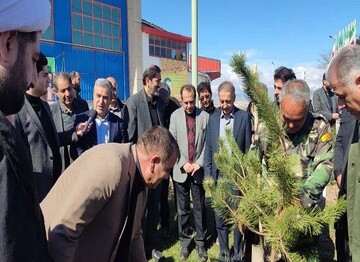 توزیع  ۲۰ هزار اصله نهال فندق در اردبیل در پویش «سرو ایران»
