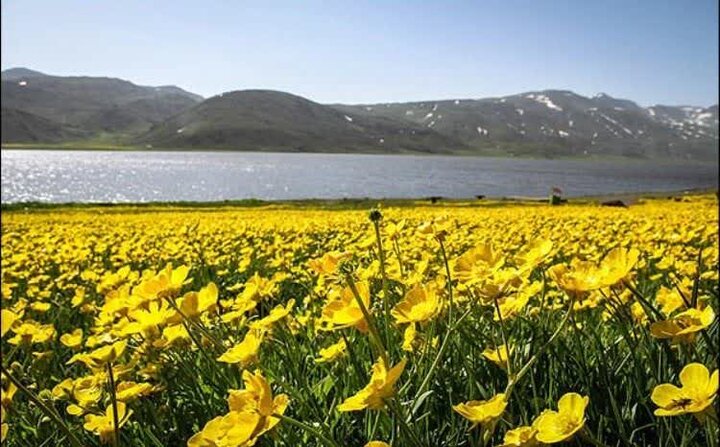 تشدید حفاظت و جریمه کیفری برای صید ماهی در تالاب نئور