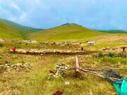 توزیع نان گرم و ارزاق اساسی میان عشایر مستقر در ییلاق اردبیل
