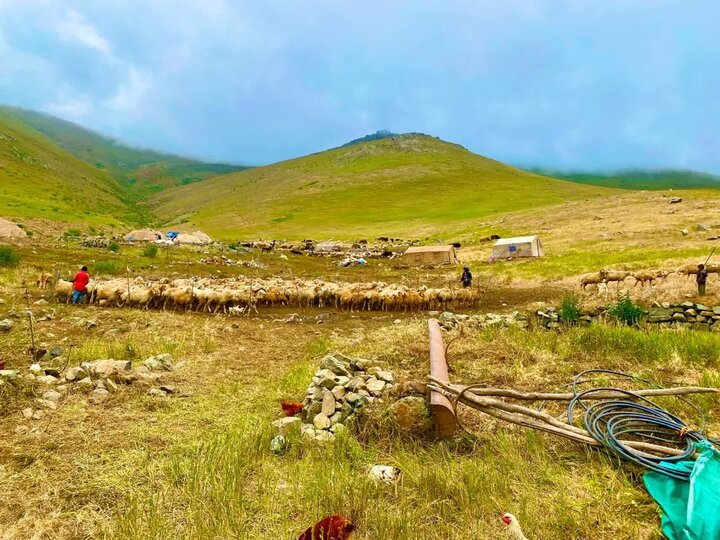 توزیع نان گرم و ارزاق اساسی میان عشایر مستقر در ییلاق اردبیل