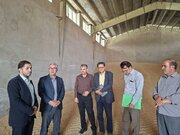 خرید تضمینی گندم در مشگین‌شهر به ۸ هزار تن رسید/ پیش‌بینی عبور از مرز ۱۰ هزار تن