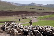 بازگشایی مسیرهای ییلاقی مشگین‌شهر برای تسهیل تردد عشایر 