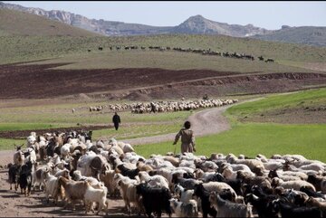 بازگشایی مسیرهای ییلاقی مشگین‌ شهر جهت تسهیل تردد عشایر 