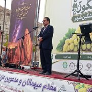 ۲۲۰۰ هکتار از اراضی مشگین‌شهر زیر کشت انگور است/ ضرورت توسعه صنایع تبدیلی