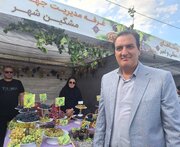 انگور مشگین‌شهر در مسیر تبدیل شدن به برند ملی/ جذب سرمایه‌گذار در اولویت جهاد کشاورزی