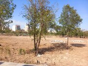 باغ شریعت اردبیل؛ از خاطره درختان بلند تا باغ مفاخر