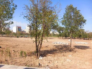 باغ شریعت اردبیل؛ از خاطره درختان بلند تا باغ مفاخر