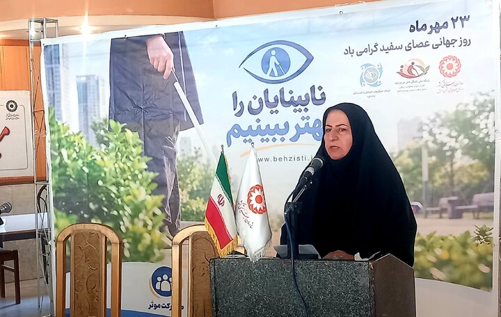  ضرورت رفع موانع دسترسی افراد دارای آسیب بینایی