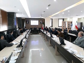 استفاده از ظرفیت فروشگاه‌های اینترنتی در توزیع کالاهای اساسی خراسان جنوبی