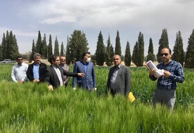 آشنایی کشاورزان با دستاوردهای علمی و تحقیقاتی؛ راهکاری برای تحقق جهش تولید