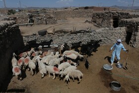 برکت اشتغالزایی در خراسان جنوبی