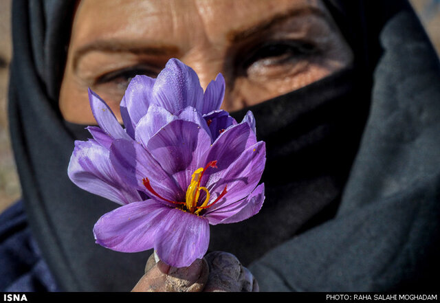 برندسازی به دست زنان روستایی خراسان جنوبی