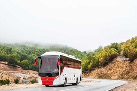 شاغلین حمل و نقل عمومی خراسان جنوبی تسهیلات می‌گیرند