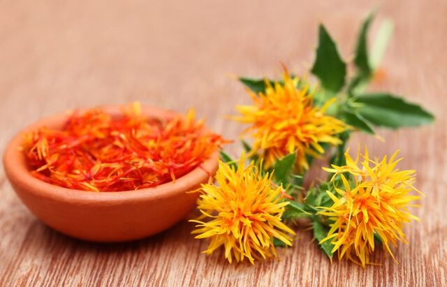 گیاه پرخاصیتی که به جای زعفران استفاده می شود