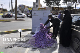 تجارت خیابانی گران‌ترین گل جهان!