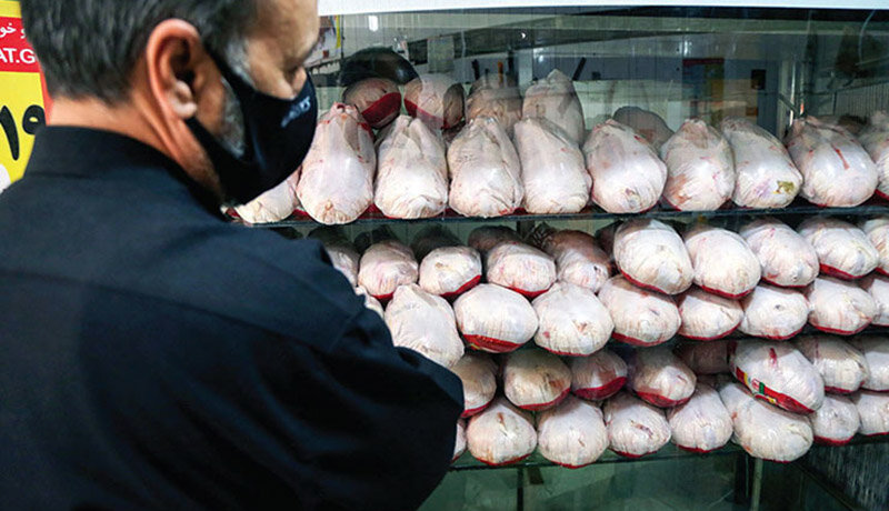 فروش عمده مرغ گرم در واحدهای صنفی خراسان جنوبی ممنوع است