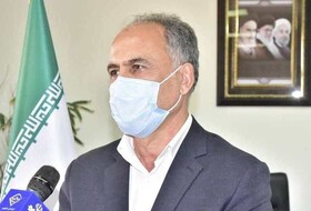 ۹۱۶ روستای خراسان جنوبی واجد شرایط فعالیت شورا هستند 