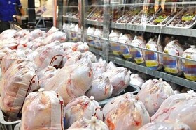 مرغ گرم را بیش از ۲۴ هزار تومان نخرید 