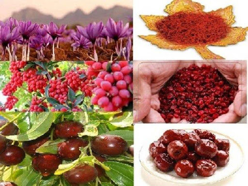 پیشنهاد استاندار خراسان جنوبی برای تشکیل تعاونی زرشک، عناب و زعفران