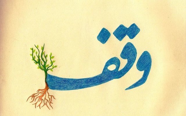  ۱۱ وقف جدید در ۴ شهرستان خراسان جنوبی ثبت شد