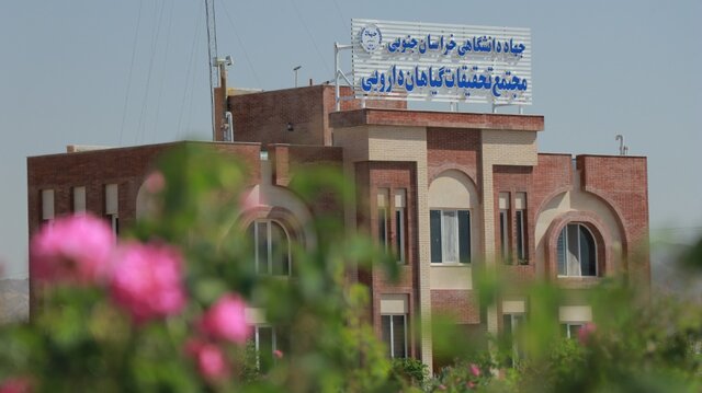 تولید سرکه گل محمدی با همت پژوهشگران جهاددانشگاهی خراسان جنوبی 