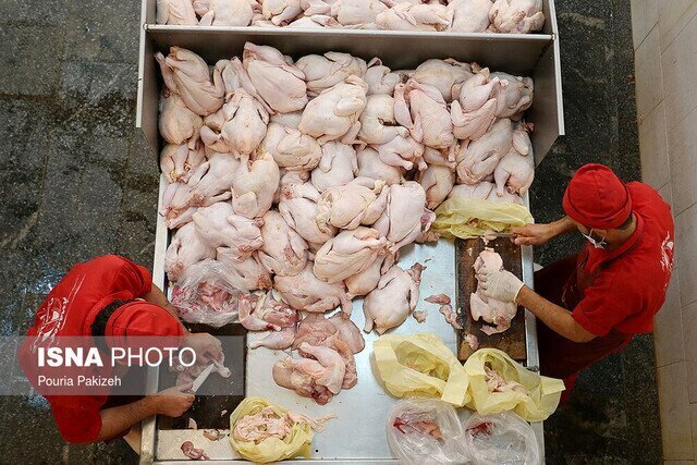اختلاف قیمت مرغ در استان‌های مختلف دردسرساز شد 