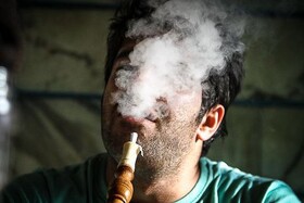 پک زدن همانا و تباهی همانا 