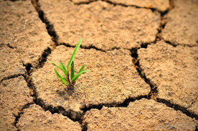 درمان خشکسالی با طرح بین‌المللی ترسیب کربن