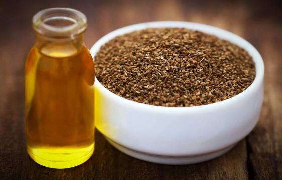 زنیان؛ گیاه همه فن حریف کویری 