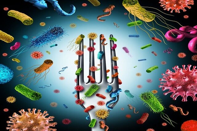 قبل و بعد از واکسیناسیون از چه غذاهایی پرهیز کنیم؟