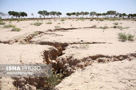 سرطانی به جان زمین 
