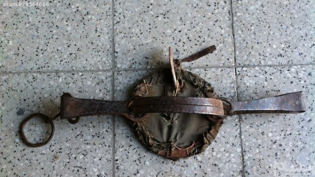 ۲۵ تله شکار حیوانات در بیرجند کشف شد