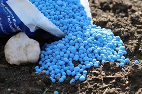تامین کود شیمیایی محصولات کشاورزی خراسان جنوبی برای فصل پاییز