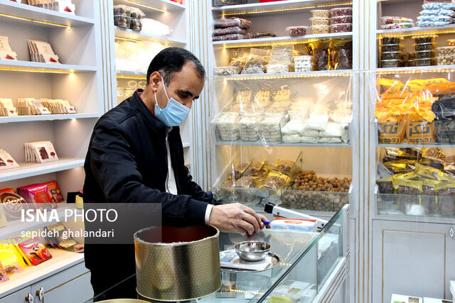 برداشت زعفران در خراسان جنوبی